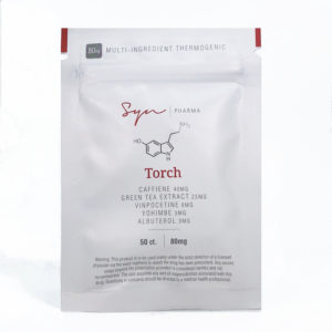 Torch