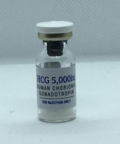Syn Pharma HGC 5000 iu