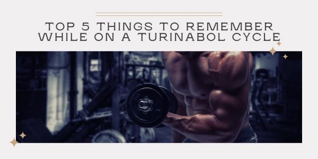 Top 5 things to remember while on a turinabol cycle