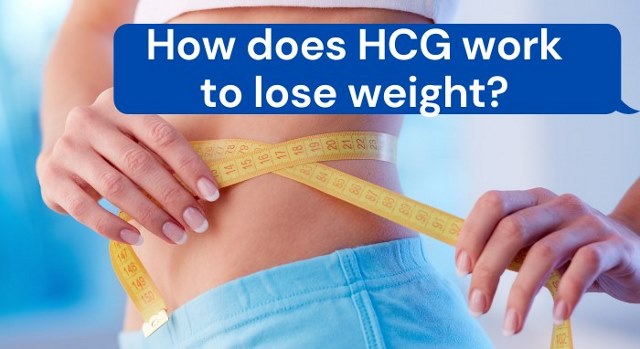 how does hcg work to lose weight?