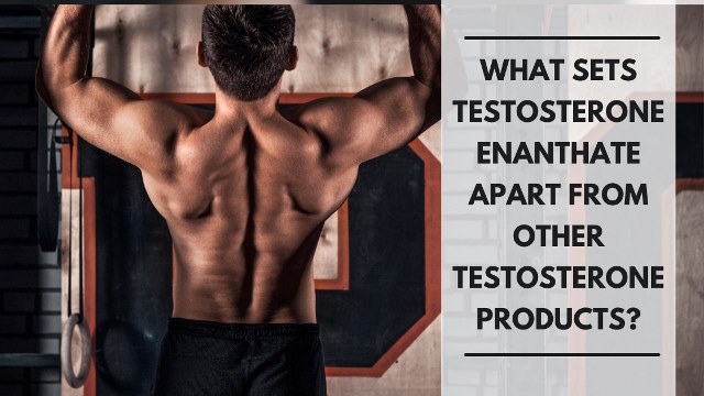 what sets testosterone enanthate apart from other enanthate products?