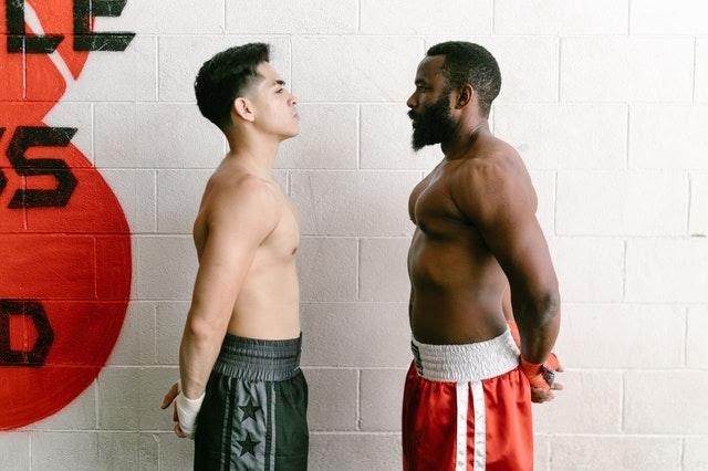 Boxers Standing Face to Face