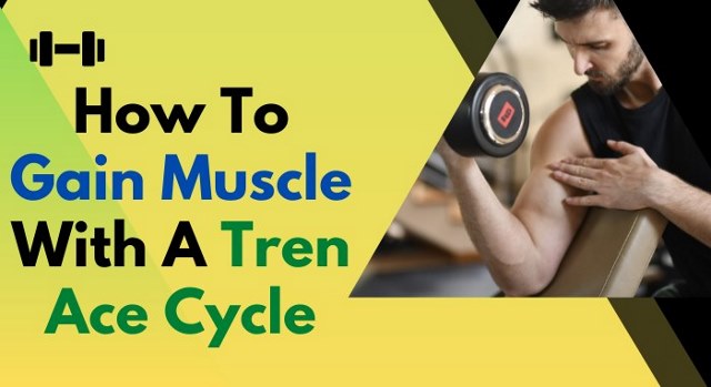 How to gain muscle with a tren cycle?