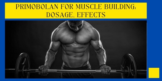 primobolan for muscle building: dosage, effects