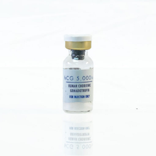 Syn Pharma HCG 5000 iu