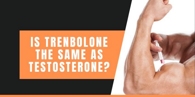 is trenbolone the same as testosterone?