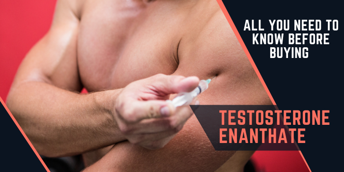 all you need to know befor buying testosterone enanthate