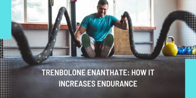 trenbolone enanthate: how it increases endurance?