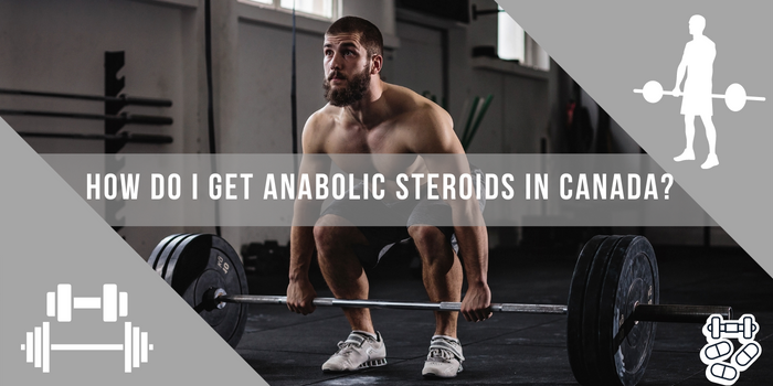 How Do I Get Anabolic Steroids In Canada?