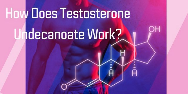 How Does Testosterone Undecanoate Work?