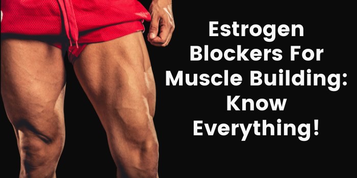 Estrogen Blockers For Muscle Building: Know Everything!