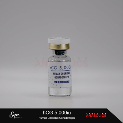 Syn Pharma HCG 5000 iu